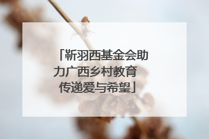 靳羽西基金会助力广西乡村教育 传递爱与希望