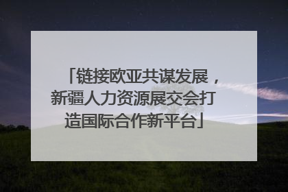 链接欧亚共谋发展，新疆人力资源展交会打造国际合作新平台