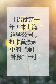 错过等一年！来上海这些公园，打卡莫奈画中的“夏日神颜”→