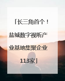 长三角首个！盐城数字视听产业基地集聚企业113家