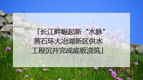 长江畔崛起新“水脉” 黄石环大冶湖新区供水工程沉井完成底板浇筑