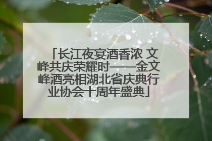 长江夜宴酒香浓 文峰共庆荣耀时——金文峰酒亮相湖北省庆典行业协会十周年盛典