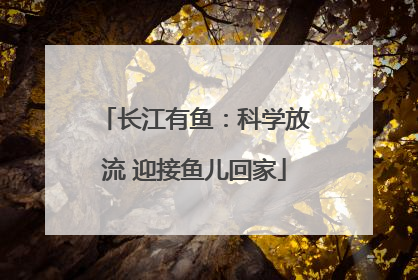 长江有鱼：科学放流 迎接鱼儿回家