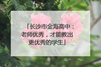 长沙市金海高中：老师优秀，才能教出更优秀的学生