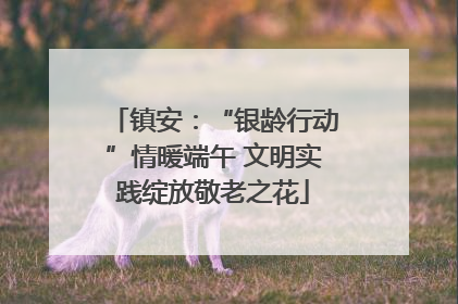 镇安：“银龄行动”情暖端午 文明实践绽放敬老之花