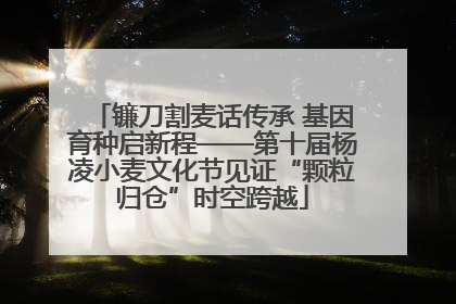 镰刀割麦话传承 基因育种启新程——第十届杨凌小麦文化节见证“颗粒归仓”时空跨越