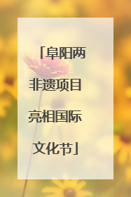 阜阳两非遗项目亮相国际文化节