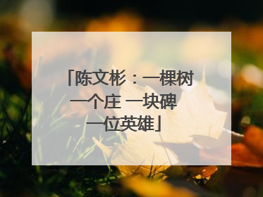 陈文彬：一棵树 一个庄 一块碑 一位英雄