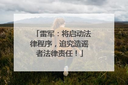 雷军：将启动法律程序，追究造谣者法律责任！