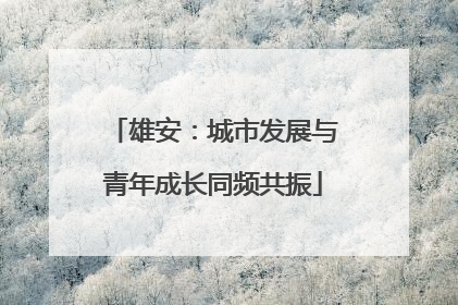 雄安：城市发展与青年成长同频共振