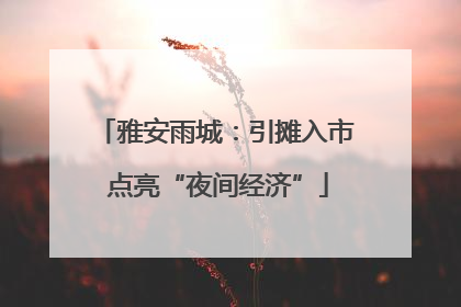 雅安雨城：引摊入市 点亮“夜间经济”