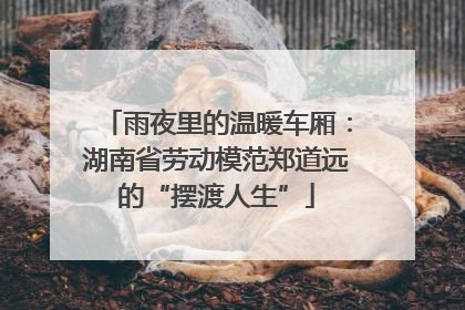 雨夜里的温暖车厢：湖南省劳动模范郑道远的“摆渡人生”