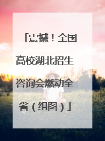 震撼！全国高校湖北招生咨询会燃动全省（组图）