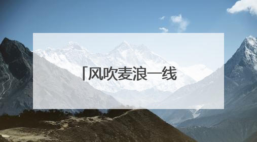 风吹麦浪一线行｜廊坊“三夏”大规模小麦机收全面开始
