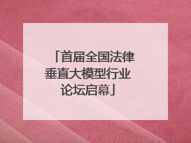 首届全国法律垂直大模型行业论坛启幕