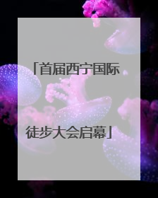 首届西宁国际徒步大会启幕
