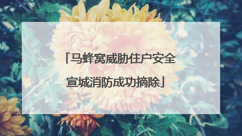马蜂窝威胁住户安全 宣城消防成功摘除