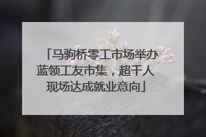 马驹桥零工市场举办蓝领工友市集，超千人现场达成就业意向