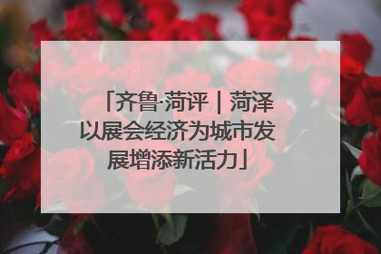 齐鲁·菏评｜菏泽以展会经济为城市发展增添新活力