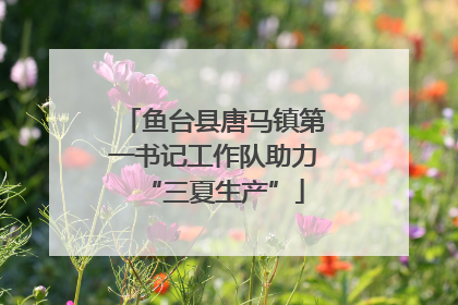 鱼台县唐马镇第一书记工作队助力“三夏生产”