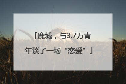 鹿城，与3.7万青年谈了一场“恋爱”