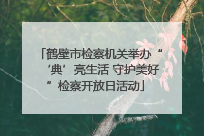 鹤壁市检察机关举办“‘典’亮生活 守护美好”检察开放日活动