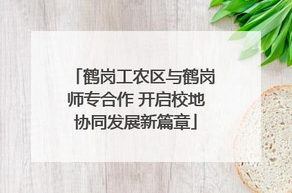鹤岗工农区与鹤岗师专合作 开启校地协同发展新篇章