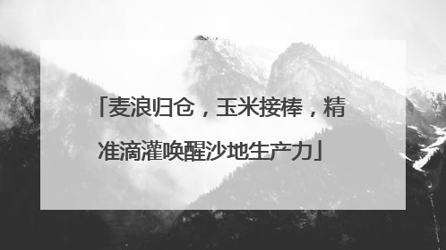 麦浪归仓，玉米接棒，精准滴灌唤醒沙地生产力