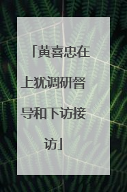 黄喜忠在上犹调研督导和下访接访