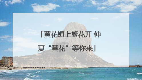 黄花镇上繁花开 仲夏“黄花”等你来