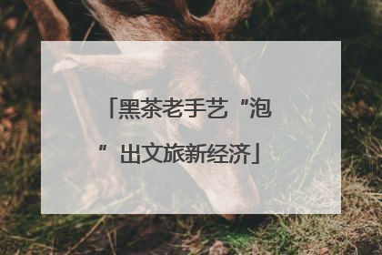 黑茶老手艺“泡”出文旅新经济