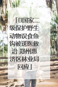 ﻿国家二级保护野生动物误食鱼钩被送医救治 郑州惠济区林业局回应