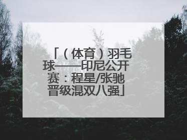 （体育）羽毛球——印尼公开赛：程星/张驰晋级混双八强