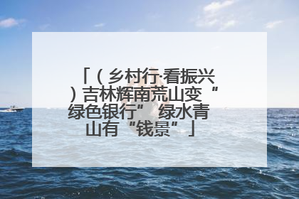 （乡村行·看振兴）吉林辉南荒山变“绿色银行” 绿水青山有“钱景”