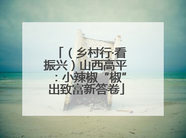 （乡村行·看振兴）山西高平：小辣椒“椒”出致富新答卷