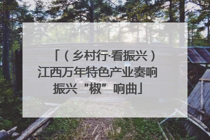 （乡村行·看振兴）江西万年特色产业奏响振兴“椒”响曲