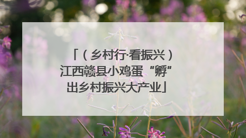 （乡村行·看振兴）江西赣县小鸡蛋“孵”出乡村振兴大产业