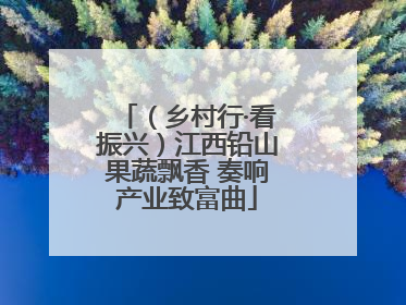 （乡村行·看振兴）江西铅山果蔬飘香 奏响产业致富曲