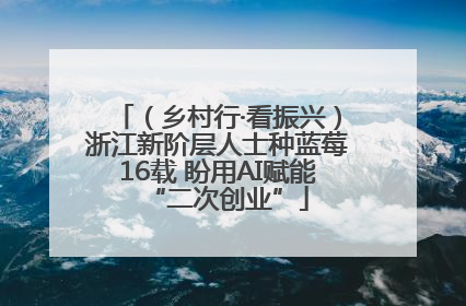 （乡村行·看振兴）浙江新阶层人士种蓝莓16载 盼用AI赋能“二次创业”