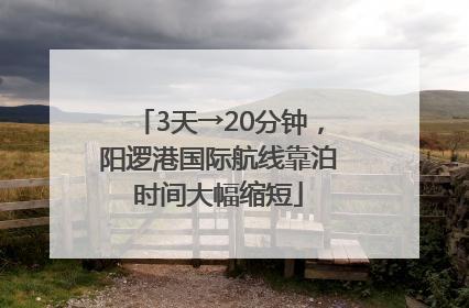 3天→20分钟，阳逻港国际航线靠泊时间大幅缩短