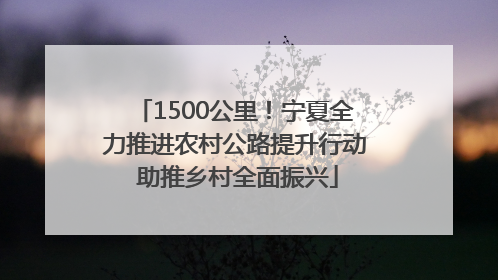 1500公里！宁夏全力推进农村公路提升行动 助推乡村全面振兴