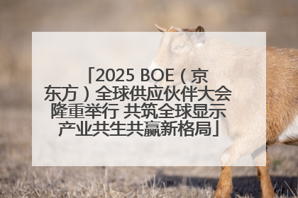 2025 BOE（京东方）全球供应伙伴大会隆重举行 共筑全球显示产业共生共赢新格局