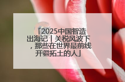2025中国智造出海记丨关税风波下，那些在世界最前线开疆拓土的人