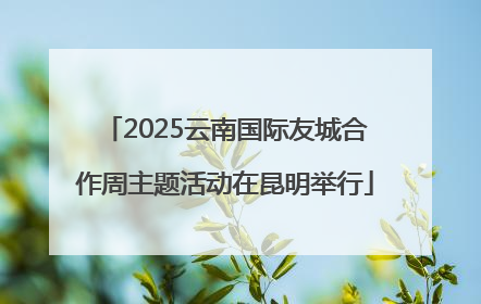 2025云南国际友城合作周主题活动在昆明举行