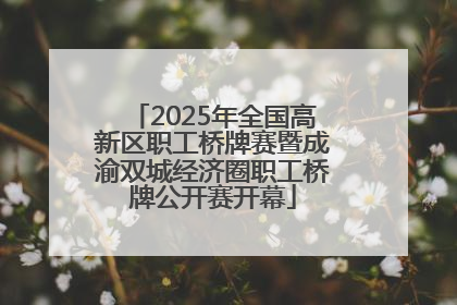 2025年全国高新区职工桥牌赛暨成渝双城经济圈职工桥牌公开赛开幕