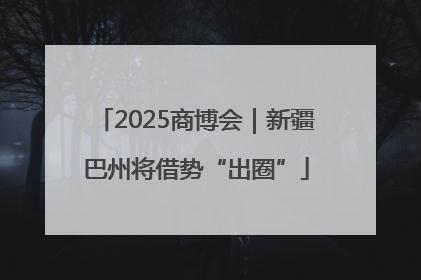 2025商博会｜新疆巴州将借势“出圈”