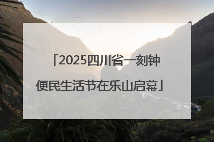 2025四川省一刻钟便民生活节在乐山启幕