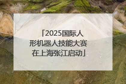 2025国际人形机器人技能大赛在上海张江启动