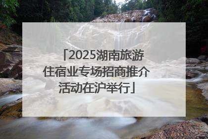 2025湖南旅游住宿业专场招商推介活动在沪举行