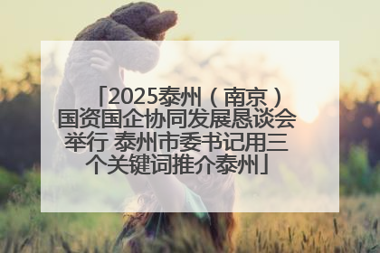 2025泰州（南京）国资国企协同发展恳谈会举行 泰州市委书记用三个关键词推介泰州